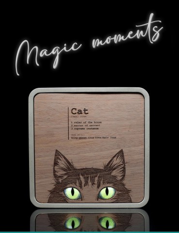 Faszinierender Blick: Cat Augen LED Lichtkasten, Beton/Holz - Dekoration mit Persönlichkeit